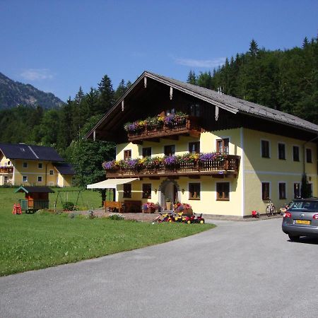 Apartamento Pferdehof Almgut Faistenau Exterior foto